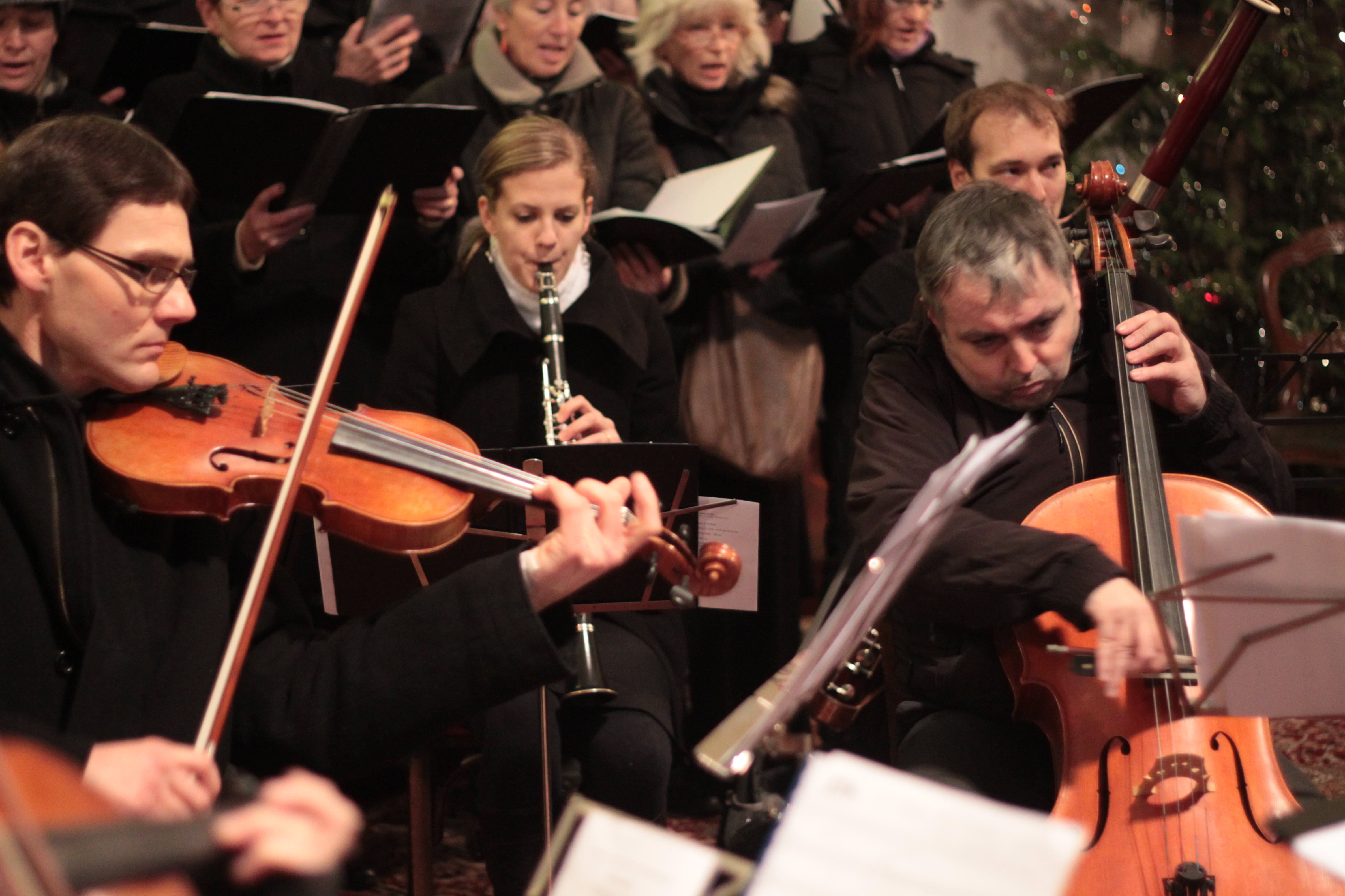 ti krli 2014
